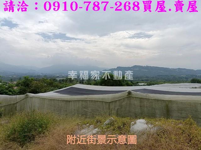 台南玉井農地-8