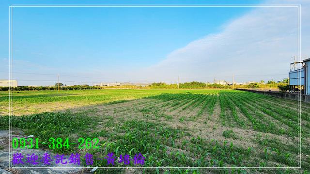 台南培倫房屋土地王