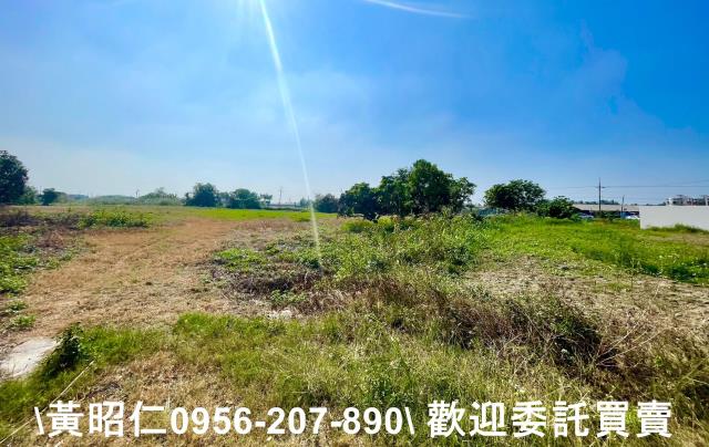 台南西港農地-1