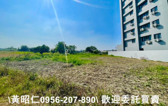 台南西港農地-2