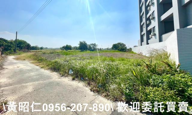 台南西港農地-5