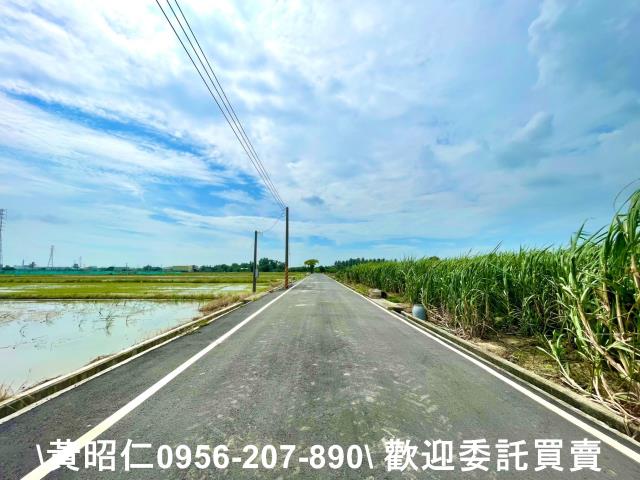 台南新化農地-1