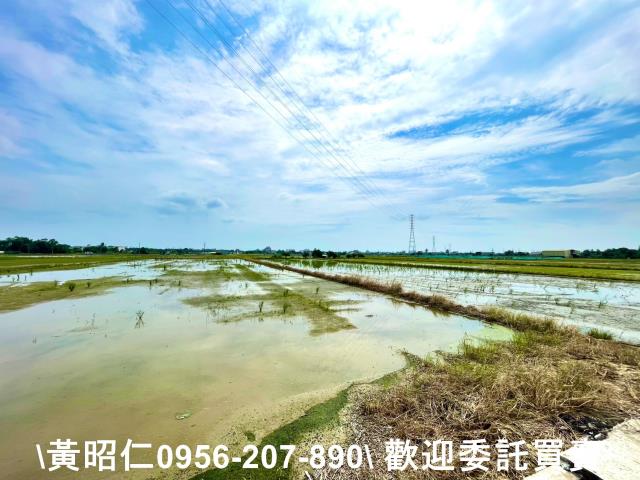 台南新化農地-4