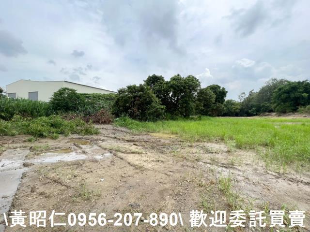 善化農地-9