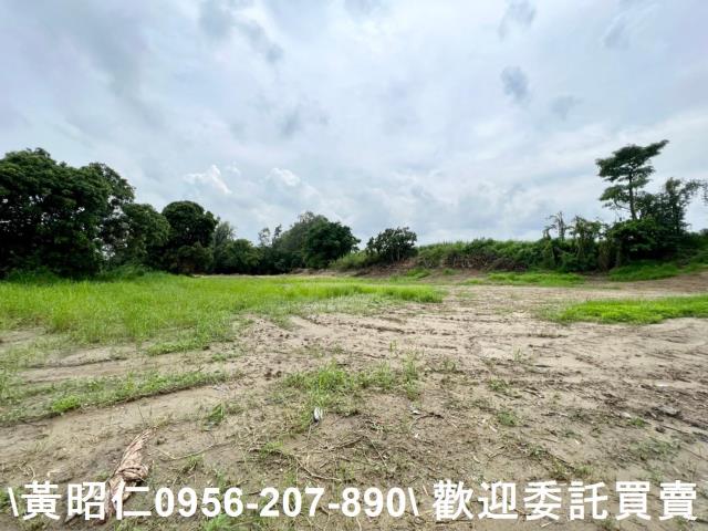 善化農地-10