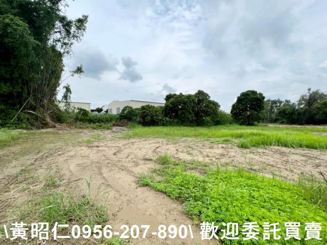 善化農地-11