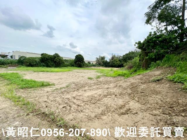 善化農地-13