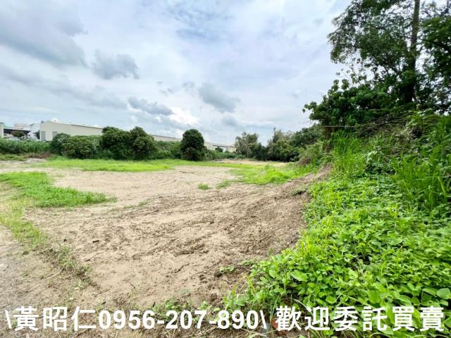 善化農地-2