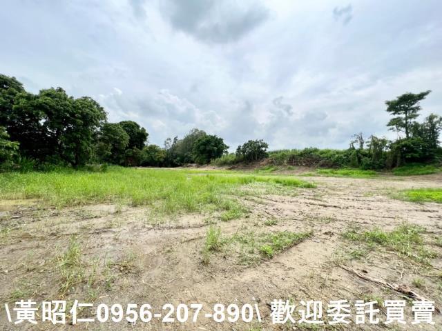 善化農地-5