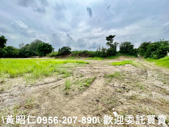 善化農地-7