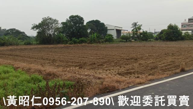 台南新市農地-11