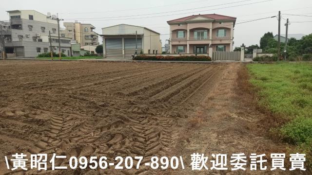 台南新市農地-12