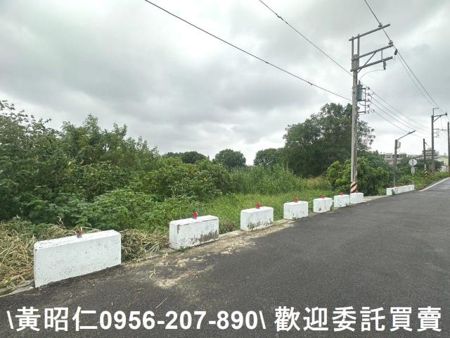 台南新市農地-1