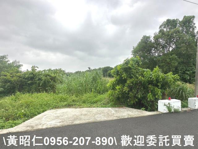 台南新市農地-5