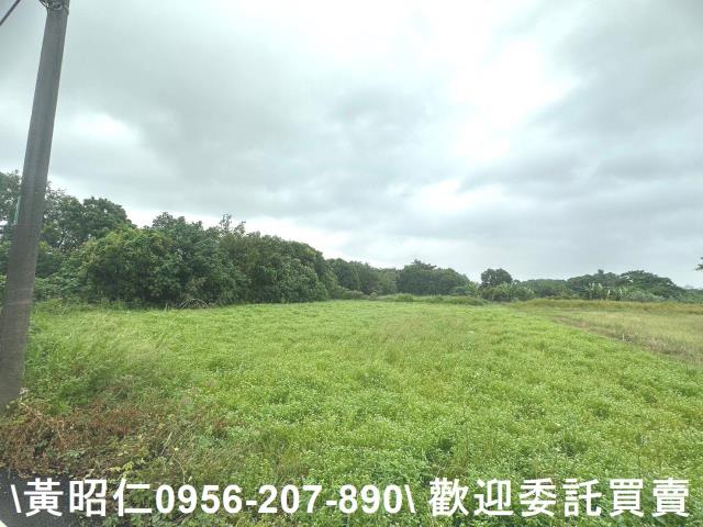 台南新市農地-6