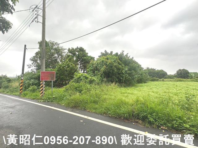 台南新市農地-7