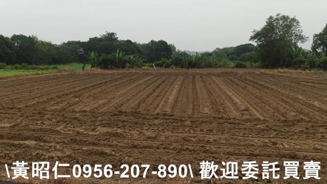 台南新市農地-0