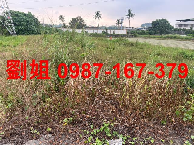 高雄大寮農地-1