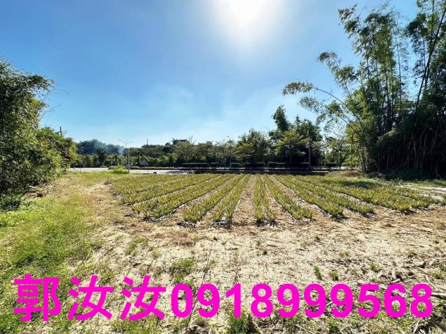 台南關廟農地-9