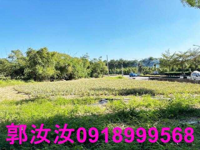台南關廟農地-10