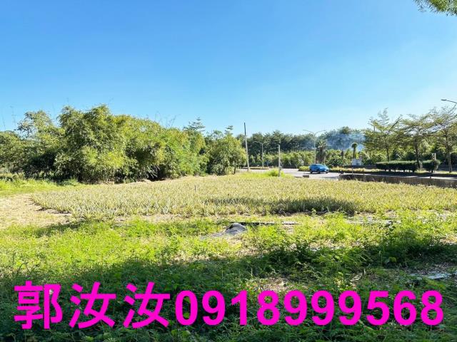 台南關廟農地-11