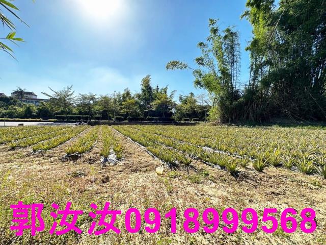 台南關廟農地-12