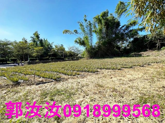 台南關廟農地-13