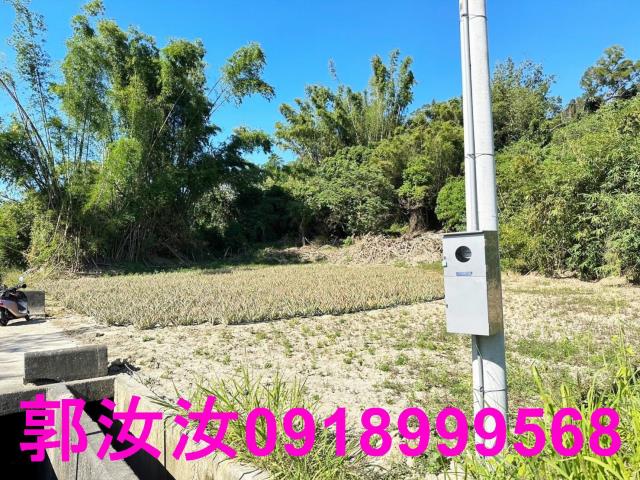 台南關廟農地-14