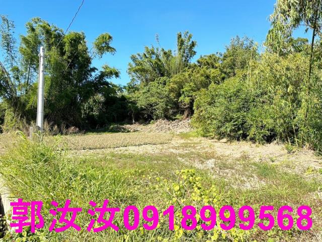 台南關廟農地-3