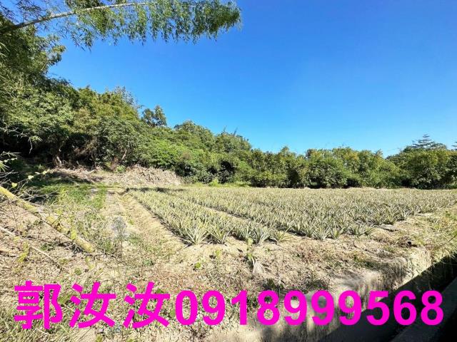 台南關廟農地-5