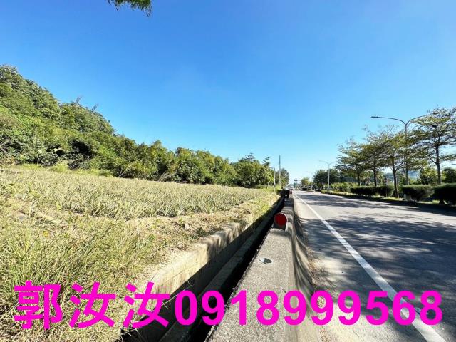 台南關廟農地-7