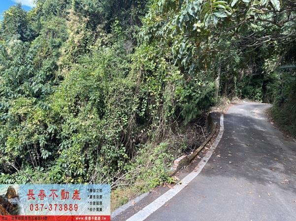 苗栗大湖農地-10