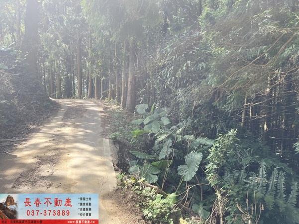 苗栗縣三灣鄉台三線3分鐘休閒地