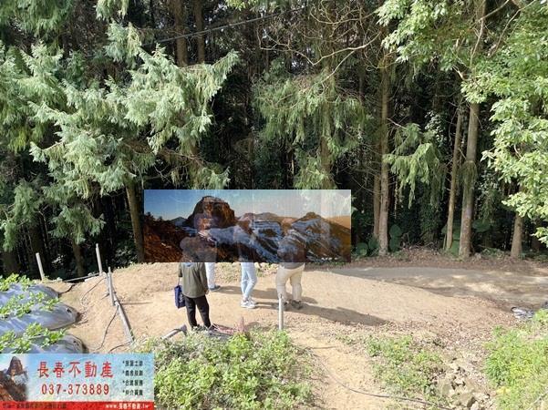 苗栗大湖農地-2