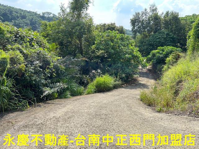 東山農地-6