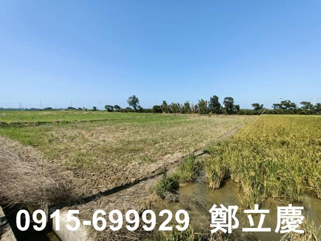 新屋農地-9