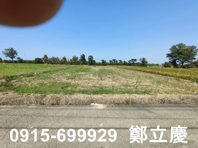 新屋農地-7