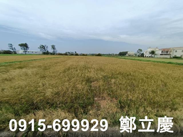 新屋農地-5