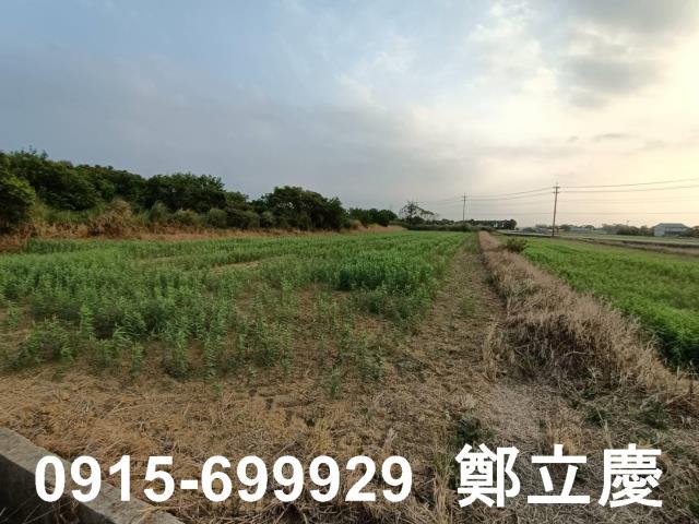新屋農地-3