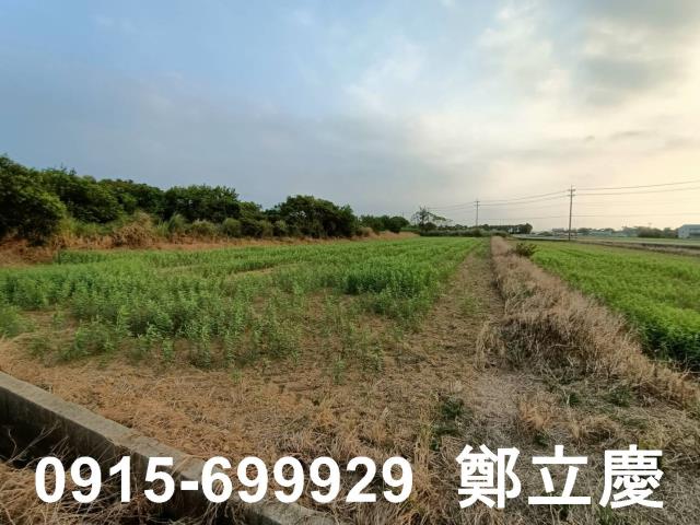 新屋農地-4