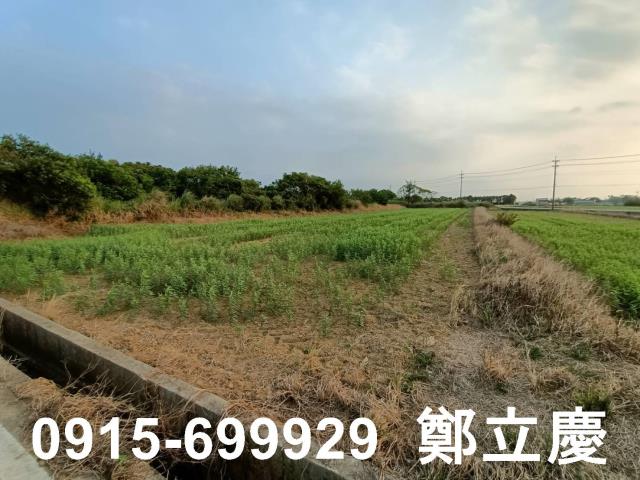 新屋農地-5