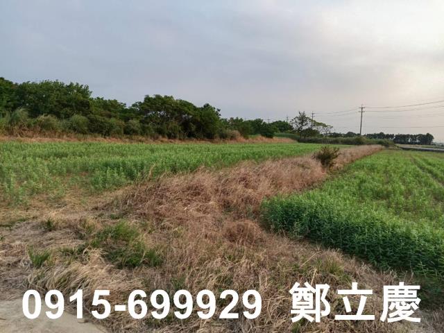 新屋農地-6