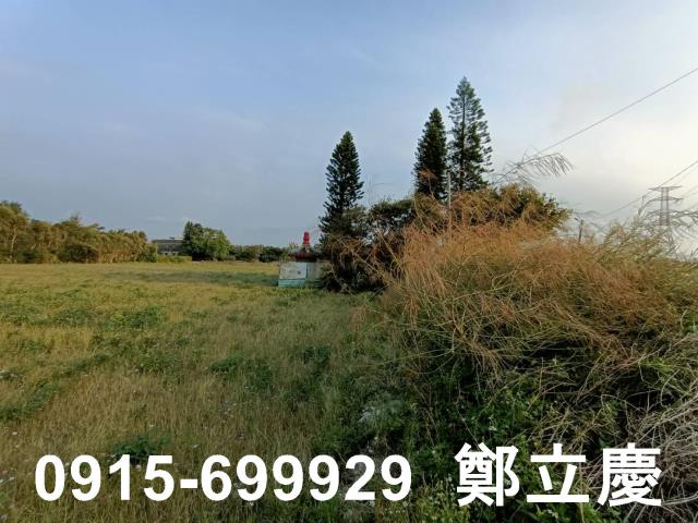新屋農地-5