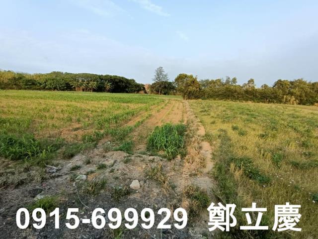 新屋農地-6