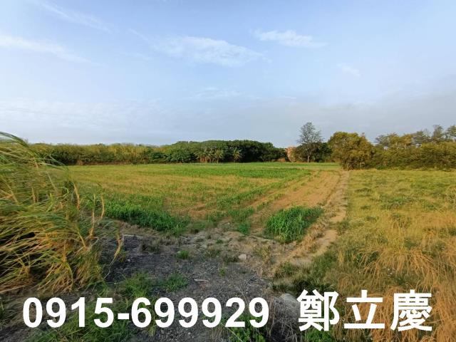 新屋農地-7