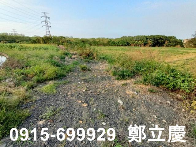新屋農地-8