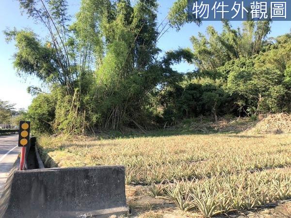 台南關廟農地-2