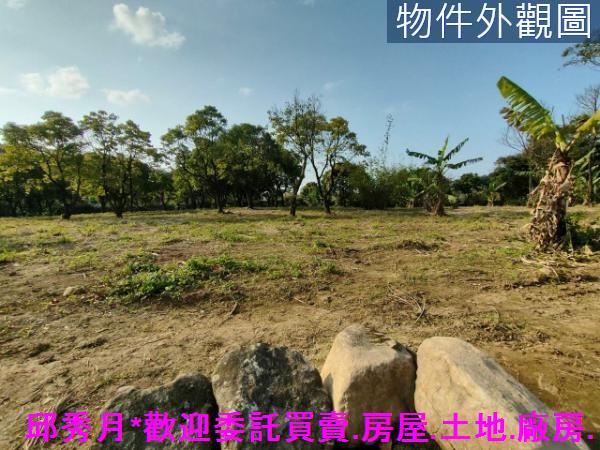 新北三芝農地-3