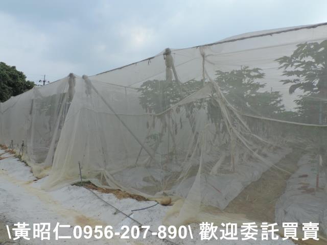 台南農地-6
