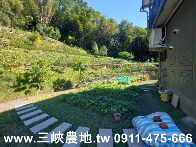 新北農地-13
